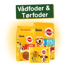 product-teaser-feed1_v2