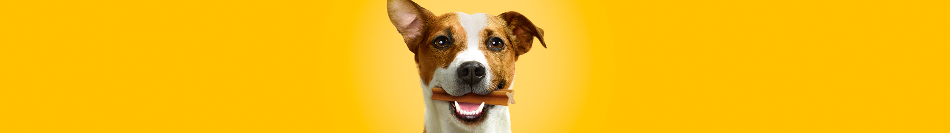Pleje din hund | Tandpleje | Pedigree